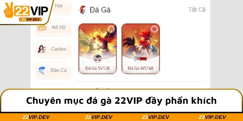 Chuyên mục đá gà 22VIP đầy phấn khích