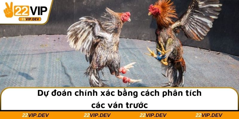 Dự đoán chính xác bằng cách phân tích các ván trước