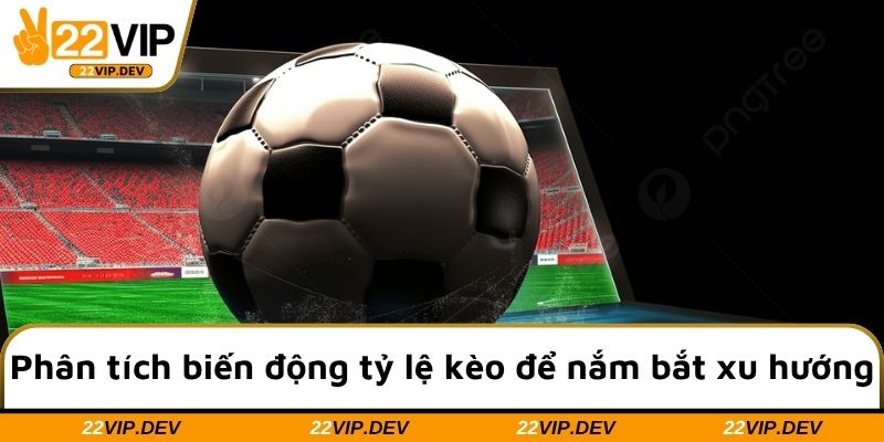 Phân tích biến động tỷ lệ kèo để nắm bắt xu hướng