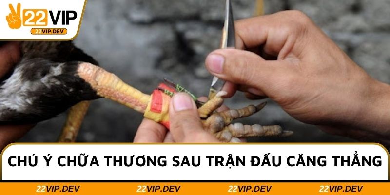 Chú ý chữa thương sau trận đấu căng thẳng