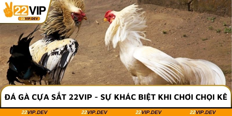 Đá Gà Cựa Sắt 22VIP - Sự Khác Biệt Khi Chơi Chọi Kê