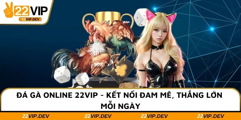 Đá Gà Online 22VIP - Kết Nối Đam Mê, Thắng Lớn Mỗi Ngày
