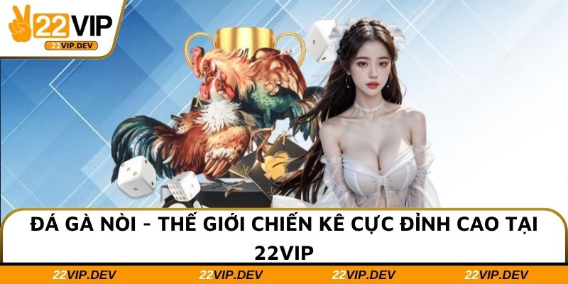 Đá Gà Nòi - Thế Giới Chiến Kê Cực Đỉnh Cao Tại 22VIP