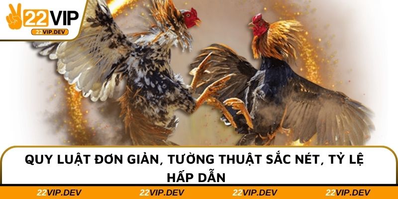 Quy luật đơn giản, tường thuật sắc nét, tỷ lệ hấp dẫn
