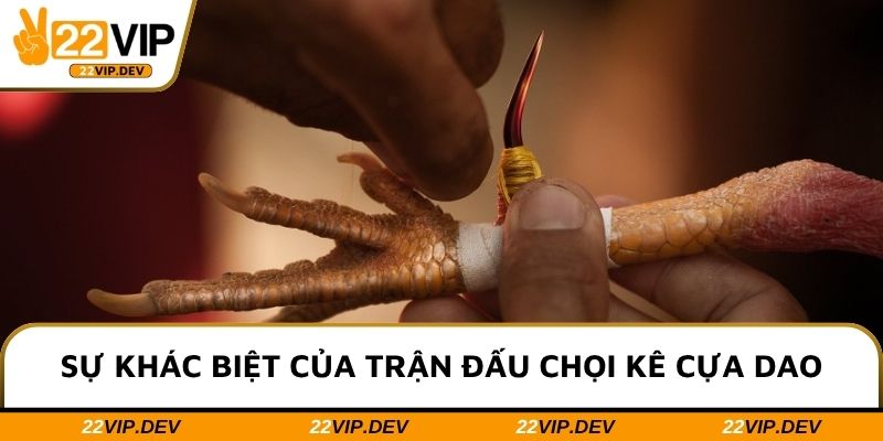 Sự khác biệt của trận đấu chọi kê cựa dao